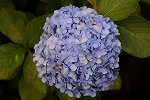 Dcim16491/DSC_0351