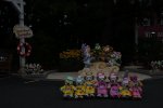 Dcim16519/DSC_9111