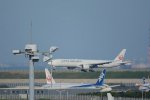 Dcim16532/DSC_2142