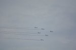 Dcim16541/DSC_2341