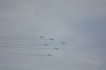 Dcim16541/DSC_2342