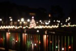 DSC_1419