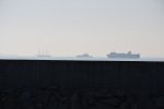 DSC_8226