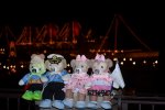 Dcim16712/DSC_4084