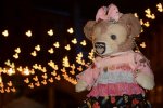 Dcim16712/DSC_4148