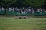 Dcim16801/DSC_6438