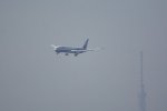 Dcim16807/DSC_6887