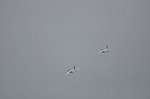 Dcim16830/DSC_7758