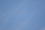 Dcim16835/DSC_8734