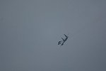 Dcim16837/DSC_9498