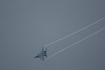 Dcim16837/DSC_9505