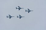 Dcim16838/DSC_9969
