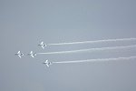Dcim16839/DSC_0058
