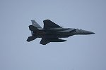 Dcim16890/DSC_3077