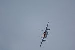 Dcim16891/DSC_3249