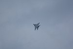 Dcim16891/DSC_3314