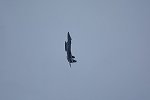 Dcim16892/DSC_3492