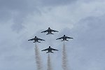 Dcim16893/DSC_3816