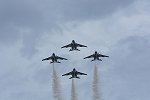 Dcim16893/DSC_3817