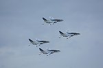 Dcim16893/DSC_3847