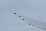 Dcim16893/DSC_3875