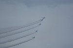 Dcim16894/DSC_3889