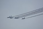 Dcim16894/DSC_4084
