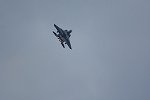 Dcim16895/DSC_4215