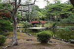 Dcim16899/DSC_7898