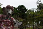 Dcim16899/DSC_7905