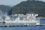 Dcim16946/DSC_7286