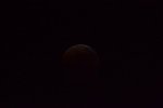 Dcim17000/DSC_0505