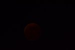 Dcim17000/DSC_0550
