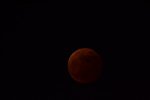 Dcim17000/DSC_0563