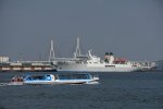Dcim17129/DSC_7994