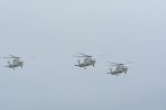 Dcim17211/DSC_8172