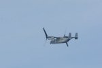 Dcim17221/DSC_8735