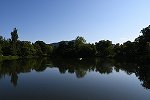 Dcim17270/DSC_2298