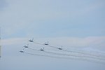 Dcim17307/DSC_2194
