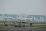 Dcim17316/DSC_3019