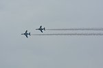 Dcim17317/DSC_3113