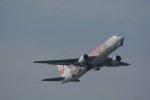 Dcim17343/DSC_3554