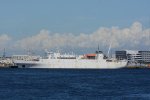 Dcim17353/DSC_4288