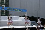 Dcim17415/DSC_4331