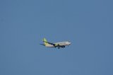 Dcim17428/DSC_6903