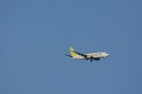 Dcim17428/DSC_6906
