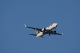 Dcim17429/DSC_7034