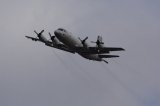 Dcim17430/DSC_7249