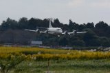Dcim17431/DSC_7437