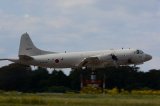 Dcim17431/DSC_7463